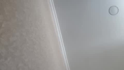 Tchia online show from February 23, 2026, 9:39 am