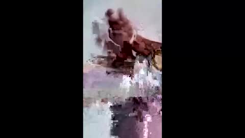 maciasbraulio846 online show from February 7, 2026, 6:50 am