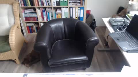 Snapshot of maddmax8 chatting on December 12, 2024, 1:28 pm Mad4You online show from December 12, 2024, 1:28 pm