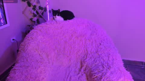 Snapshot of madelinebenet chatting on September 29, 2025, 1:11 am Madeline online show from September 29, 2025, 1:11 am