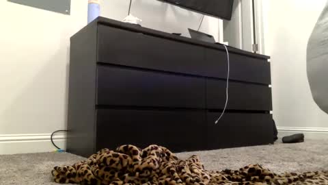 Snapshot of madiexcuslive chatting on February 3, 2025, 2:25 am yourfavblonde online show from February 3, 2025, 2:25 am