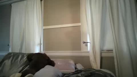 Snapshot of madisonfelicia chatting on October 13, 2025, 7:25 pm Madison online show from October 13, 2025, 7:25 pm