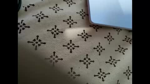 Snapshot of mallik63040 chatting on February 8, 2025, 9:56 am Sree0703 online show from February 8, 2025, 9:56 am