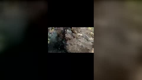 Snapshot of mallubulldick chatting on November 25, 2025, 8:42 pm Mallubull online show from November 25, 2025, 8:42 pm