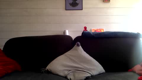 Snapshot of manpower2012 chatting on October 12, 2025, 1:43 pm Manpo online show from October 12, 2025, 1:43 pm