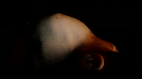Snapshot of mantittsndick chatting on August 2, 2026, 8:35 am guywittitsndick online show from August 2, 2026, 8:35 am