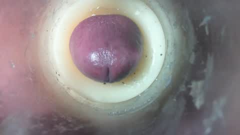 Marc online show from February 8, 2026, 7:06 pm