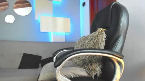 Snapshot of marcus_jax1 chatting on February 14, 2025, 4:37 am Marcus Jax1 online show from February 14, 2025, 4:37 am