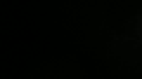 Snapshot of margolane chatting on May 4, 2026, 12:45 pm Elle online show from May 4, 2026, 12:45 pm