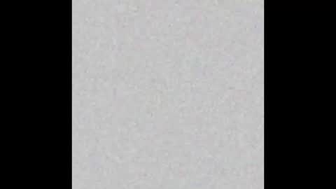 Margot online show from December 28, 2024, 11:19 am