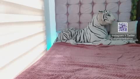 mariaribeiro online show from January 7, 2026, 7:49 pm