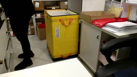 Mary... online show from February 7, 2025, 1:43 pm