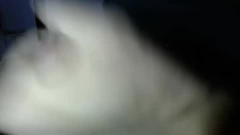 mark_270 online show from April 3, 2026, 6:06 pm