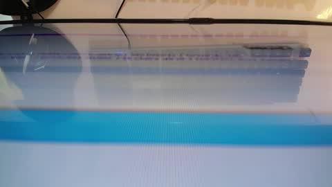 Marlin  online show from February 25, 2025, 9:53 am