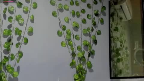 Snapshot of marly7890 chatting on February 26, 2025, 3:10 am marly online show from February 26, 2025, 3:10 am