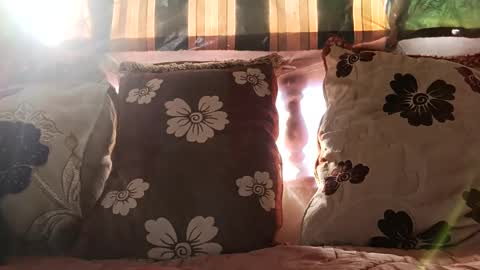 marocreda33 online show from December 24, 2024, 11:17 am