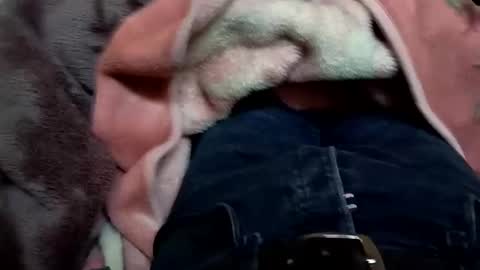 marocreda33 online show from March 11, 2025, 5:57 pm