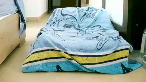 Snapshot of martinas_fantasies chatting on October 12, 2025, 10:58 am Play with me I obey I promise online show from October 12, 2025, 10:58 am