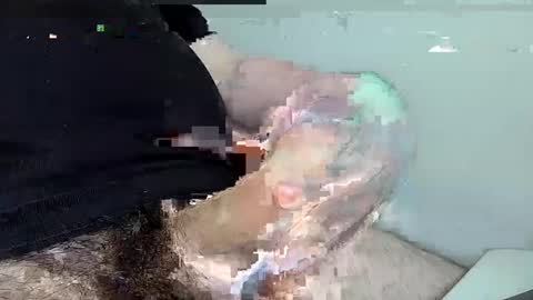 Snapshot of mas12345678910 chatting on December 1, 2024, 4:29 pm mas12345678910 online show from December 1, 2024, 4:29 pm