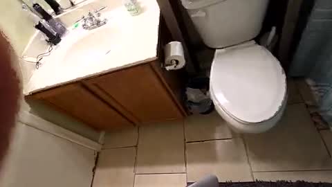 maskedmagikstik online show from December 2, 2025, 11:48 am