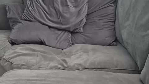 Lee online show from September 24, 2025, 11:02 am