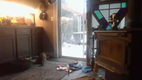 Snapshot of masterdurt chatting on February 15, 2025, 2:22 pm The Big Duurty online show from February 15, 2025, 2:22 pm