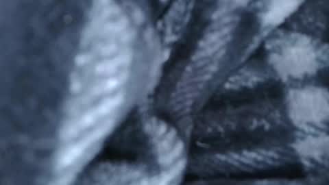 alex online show from March 28, 2026, 1:27 am