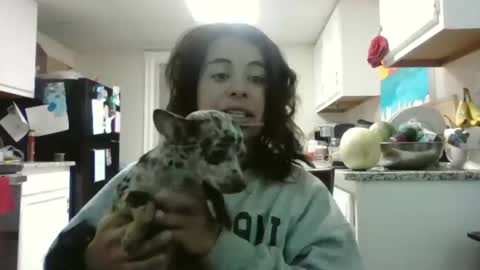 Mastress Luna online show from November 21, 2025, 9:24 pm