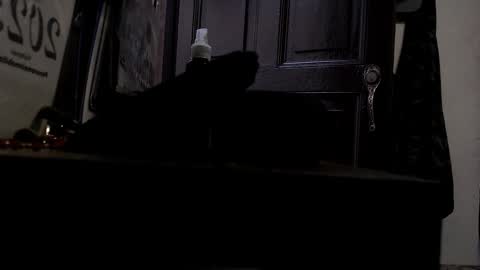 Snapshot of maximotorricelli chatting on January 3, 2025, 9:47 pm maximotorricelli online show from January 3, 2025, 9:47 pm