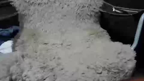 Max online show from January 7, 2025, 2:19 pm