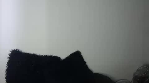 Snapshot of megan_coop3r_ chatting on September 19, 2025, 9:37 pm Megan and sophi online show from September 19, 2025, 9:37 pm