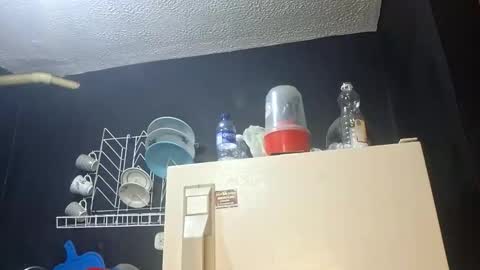 Snapshot of megan_coop3r_ chatting on November 5, 2025, 3:39 am Megan and sophi online show from November 5, 2025, 3:39 am