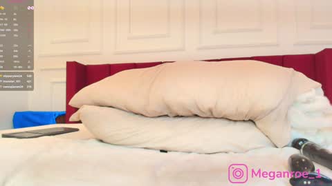 Snapshot of megan_monroe_ chatting on January 11, 2025, 7:27 pm Megan online show from January 11, 2025, 7:27 pm