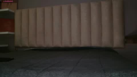     online show from January 19, 2026, 11:58 am