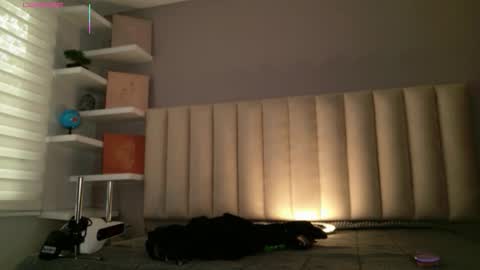     online show from February 10, 2026, 1:04 pm