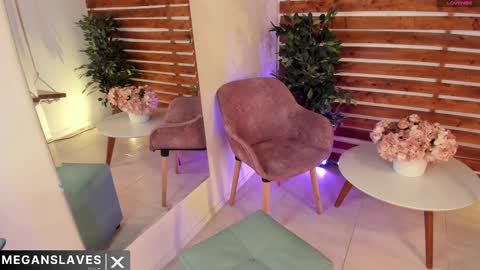 Snapshot of megan_raiin chatting on February 26, 2025, 9:10 am megan_raiin online show from February 26, 2025, 9:10 am