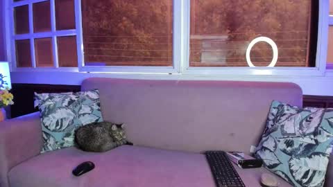 Snapshot of melanieroux chatting on October 13, 2025, 7:36 pm Melanie Roux online show from October 13, 2025, 7:36 pm