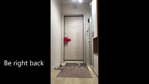 Snapshot of melina_beauty chatting on February 25, 2026, 9:08 am Melina online show from February 25, 2026, 9:08 am