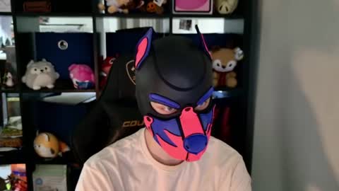 Snapshot of mellpup chatting on June 11, 2026, 6:28 pm MellPUP online show from June 11, 2026, 6:28 pm