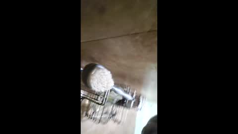 Snapshot of men_seeker chatting on February 12, 2026, 12:49 am men_seeker online show from February 12, 2026, 12:49 am