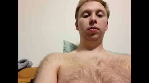 meow732 online show from November 20, 2025, 2:01 am