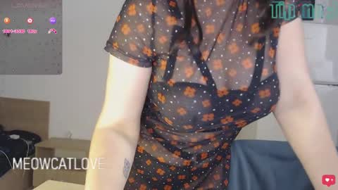 meowcatlove online show from December 24, 2024, 9:00 pm