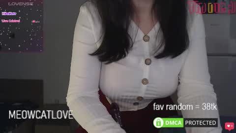 meowcatlove online show from January 20, 2025, 9:01 pm