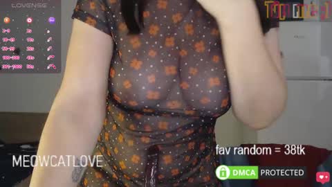 meowcatlove online show from January 21, 2025, 8:32 pm