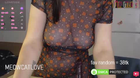 meowcatlove online show from January 26, 2025, 11:08 pm