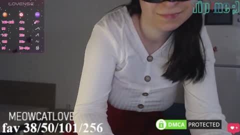 Snapshot of meowcatlove chatting on March 11, 2025, 9:04 pm meowcatlove online show from March 11, 2025, 9:04 pm