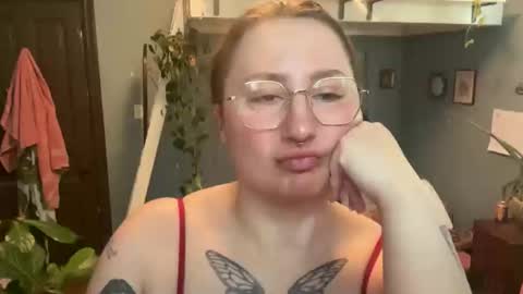 meowmaxx online show from April 8, 2026, 8:09 pm