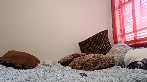 meowzers777 online show from December 15, 2024, 6:48 pm