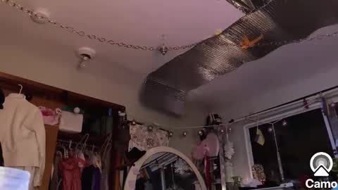 gurlnips online show from January 30, 2025, 2:06 am