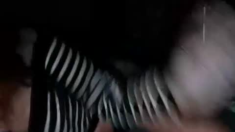 Snapshot of mermaidonland25 chatting on October 5, 2025, 11:35 pm mermaidonland25 online show from October 5, 2025, 11:35 pm